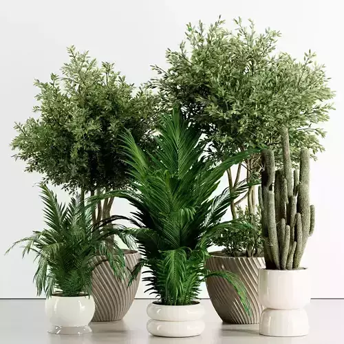 Indoor plant in stone pot set 80 3D model