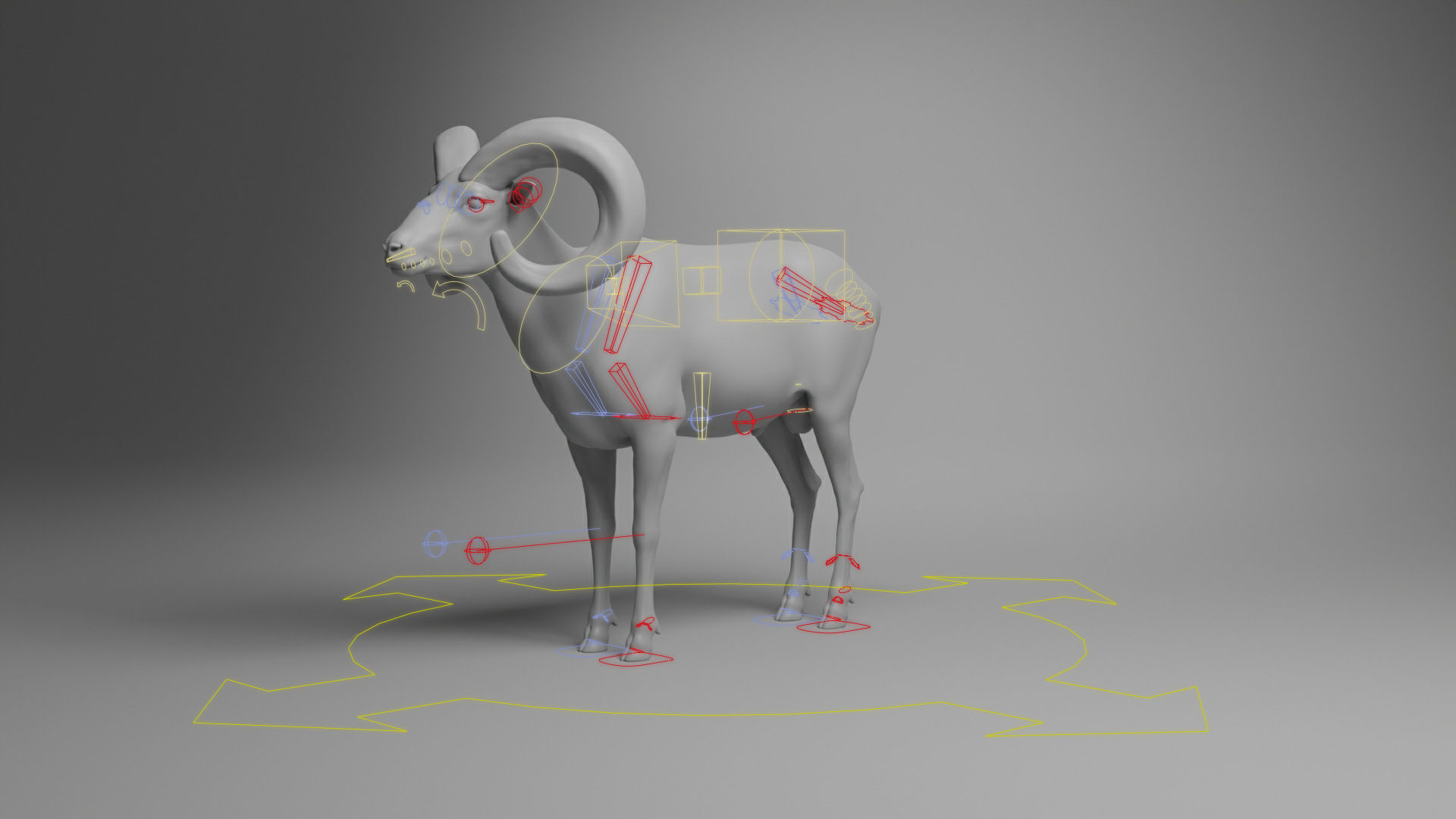 Ovis Ammon Male Animated - VFX Grace 3D model_12