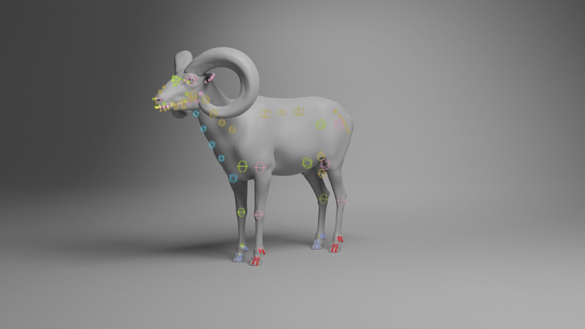 Ovis Ammon Male Animated - VFX Grace 3D model_14