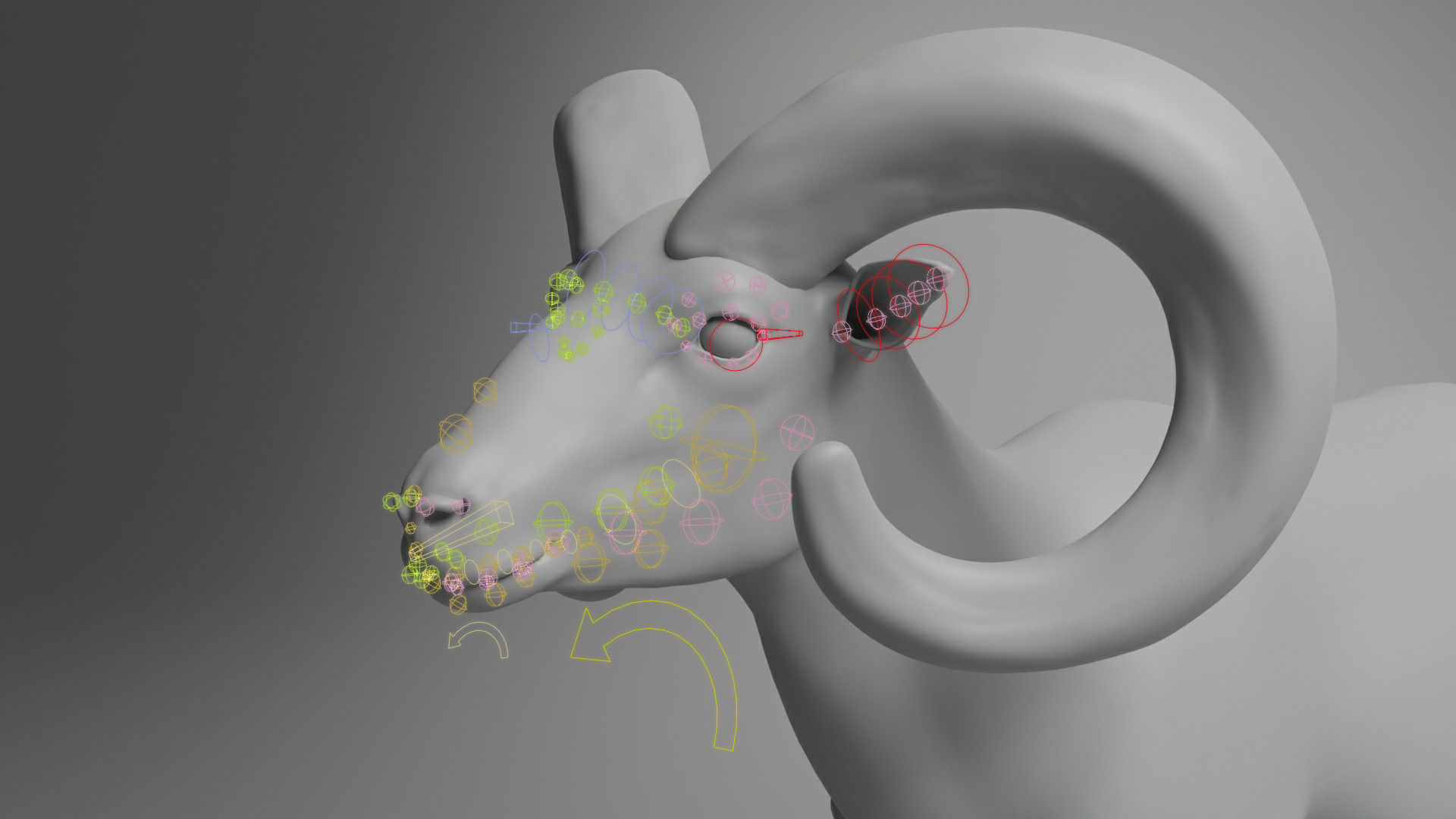 Ovis Ammon Male Animated - VFX Grace 3D model_16