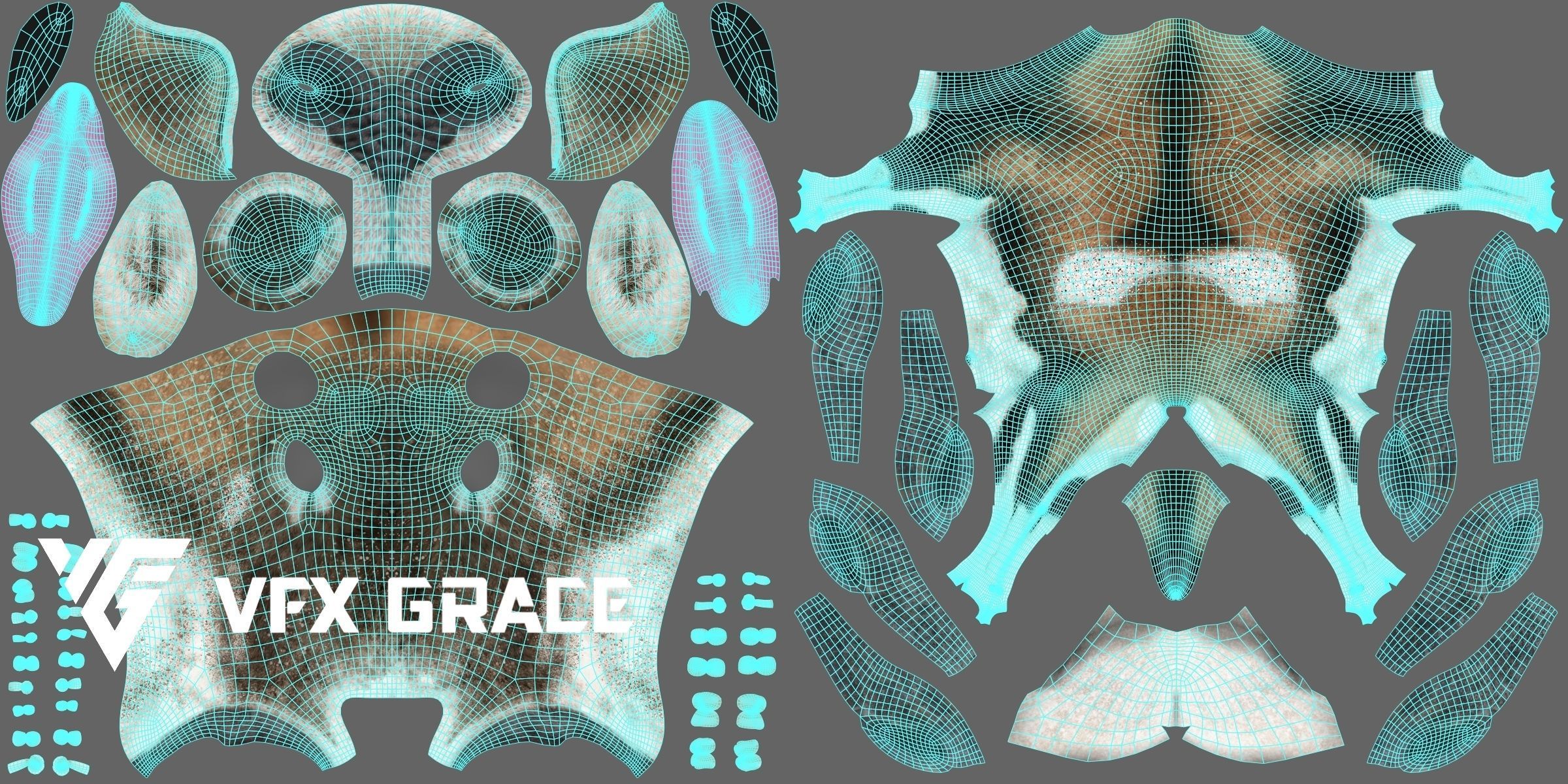 Ovis Ammon Male Animated - VFX Grace 3D model_17