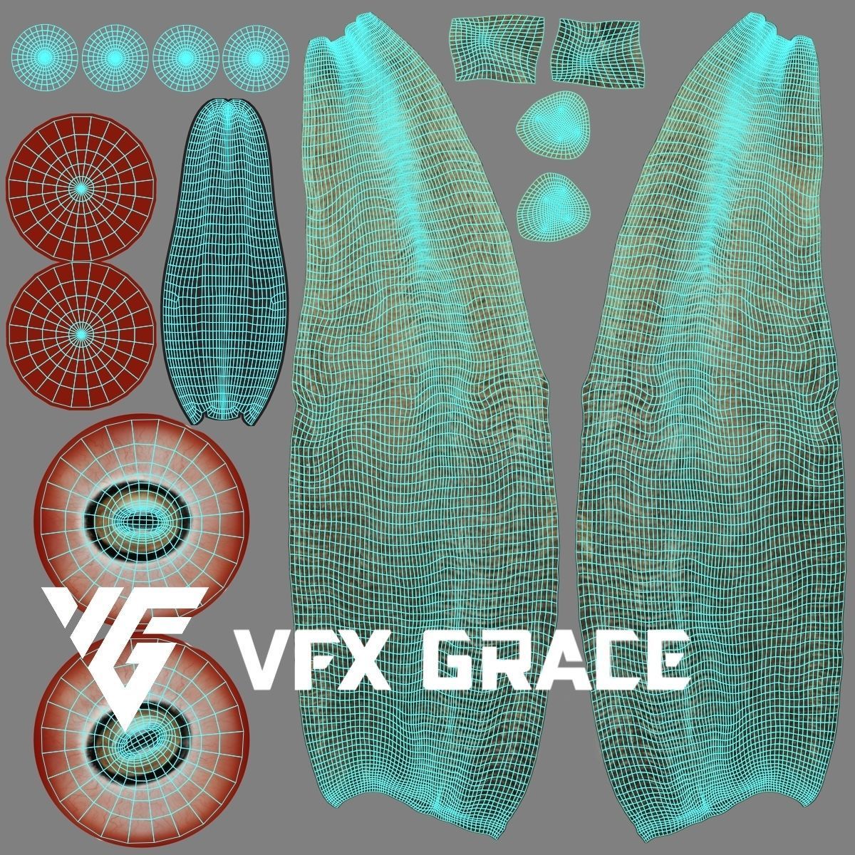 Ovis Ammon Male Animated - VFX Grace 3D model_19