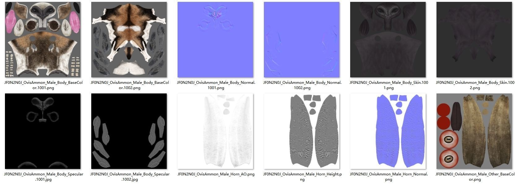 Ovis Ammon Male Animated - VFX Grace 3D model_20