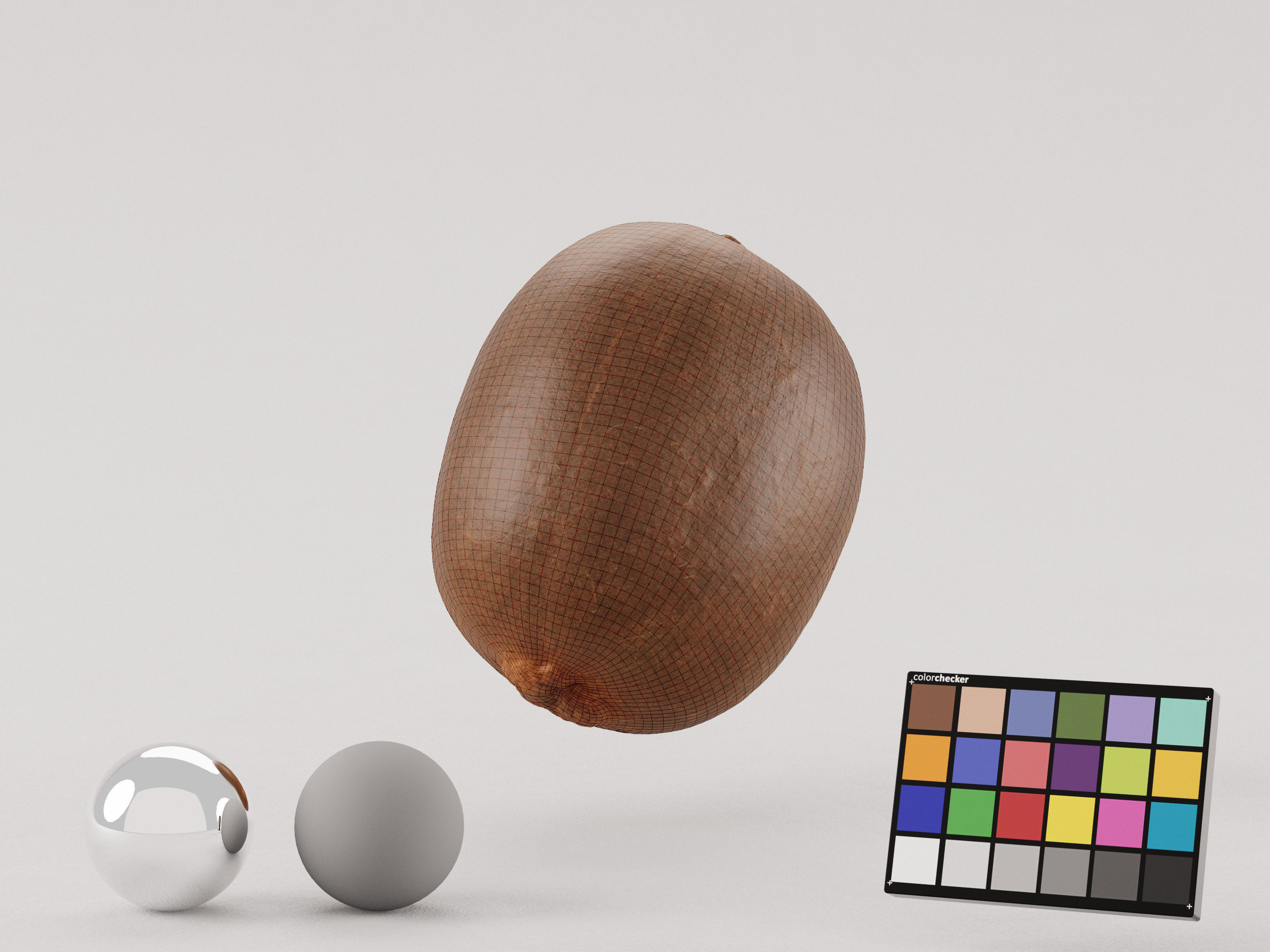 Kiwi Photoscan Low-poly 3D model_5