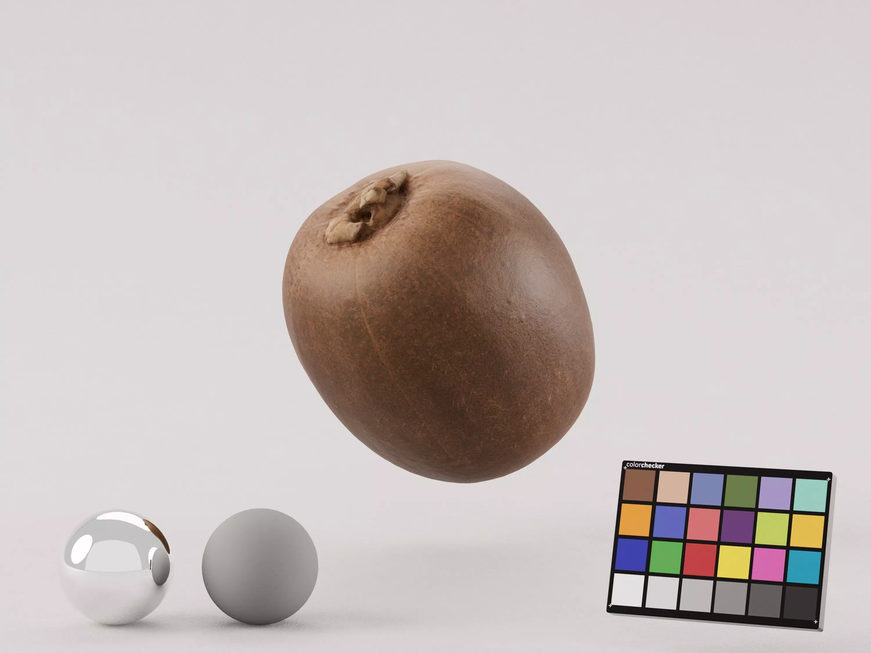 Kiwi Photoscan Low-poly 3D model_0