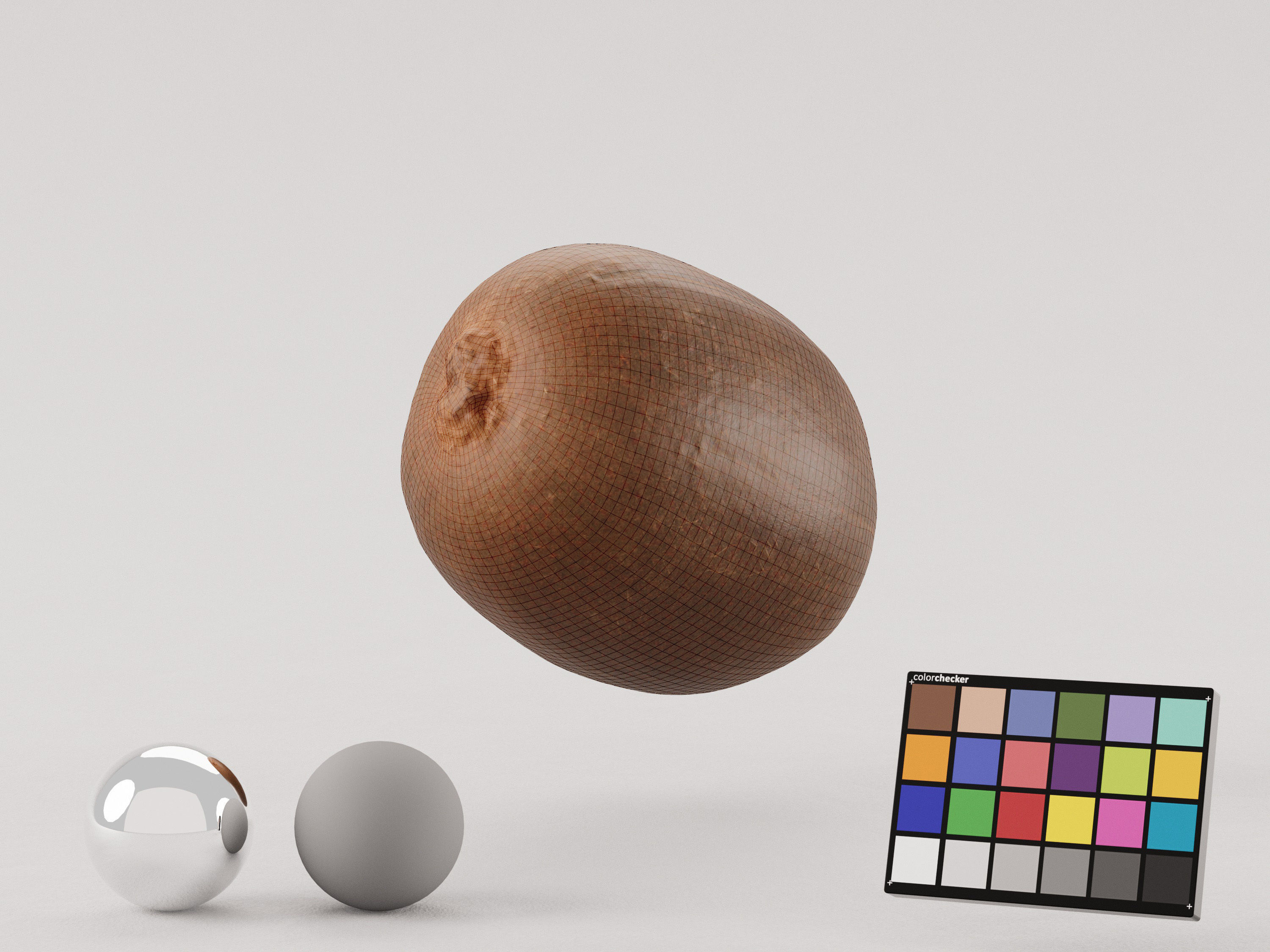 Kiwi Photoscan Low-poly 3D model_7