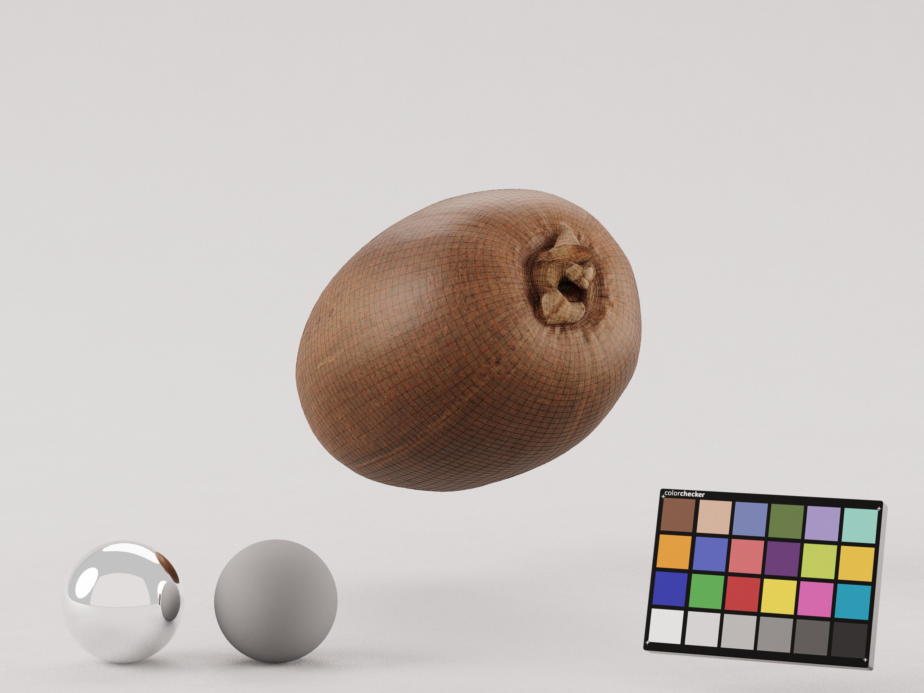 Kiwi Photoscan Low-poly 3D model_6