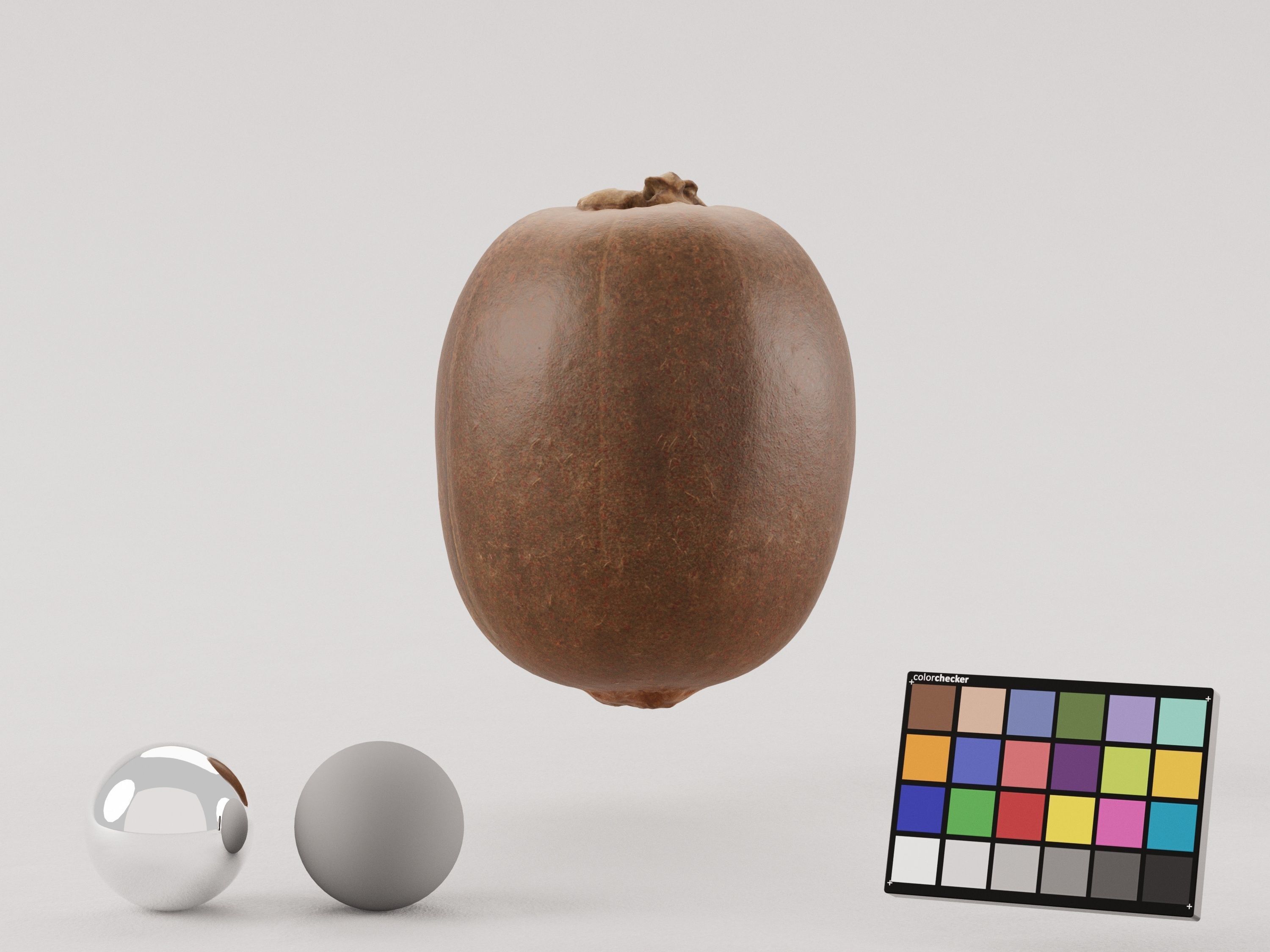 Kiwi Photoscan Low-poly 3D model_2