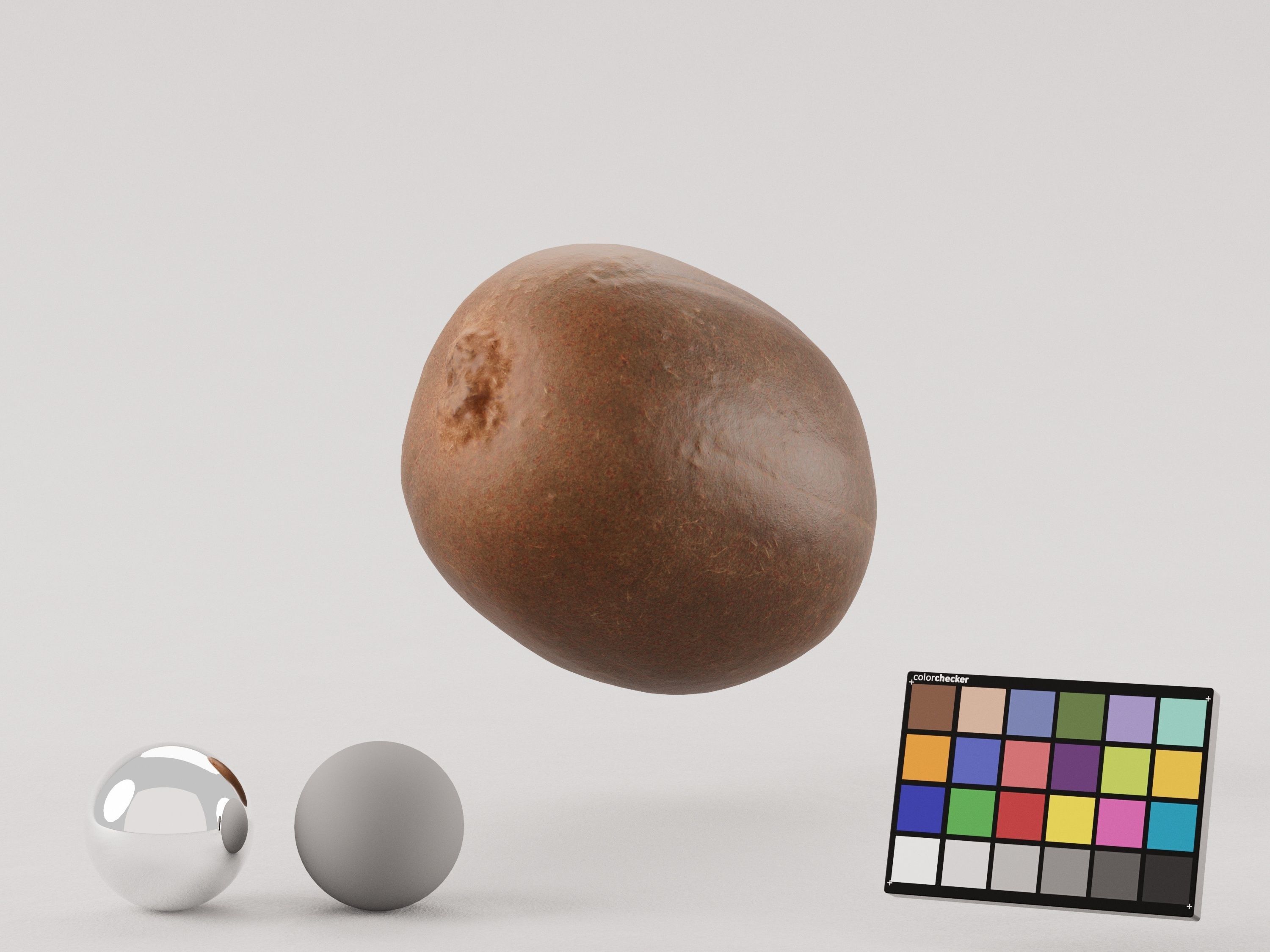 Kiwi Photoscan Low-poly 3D model_4