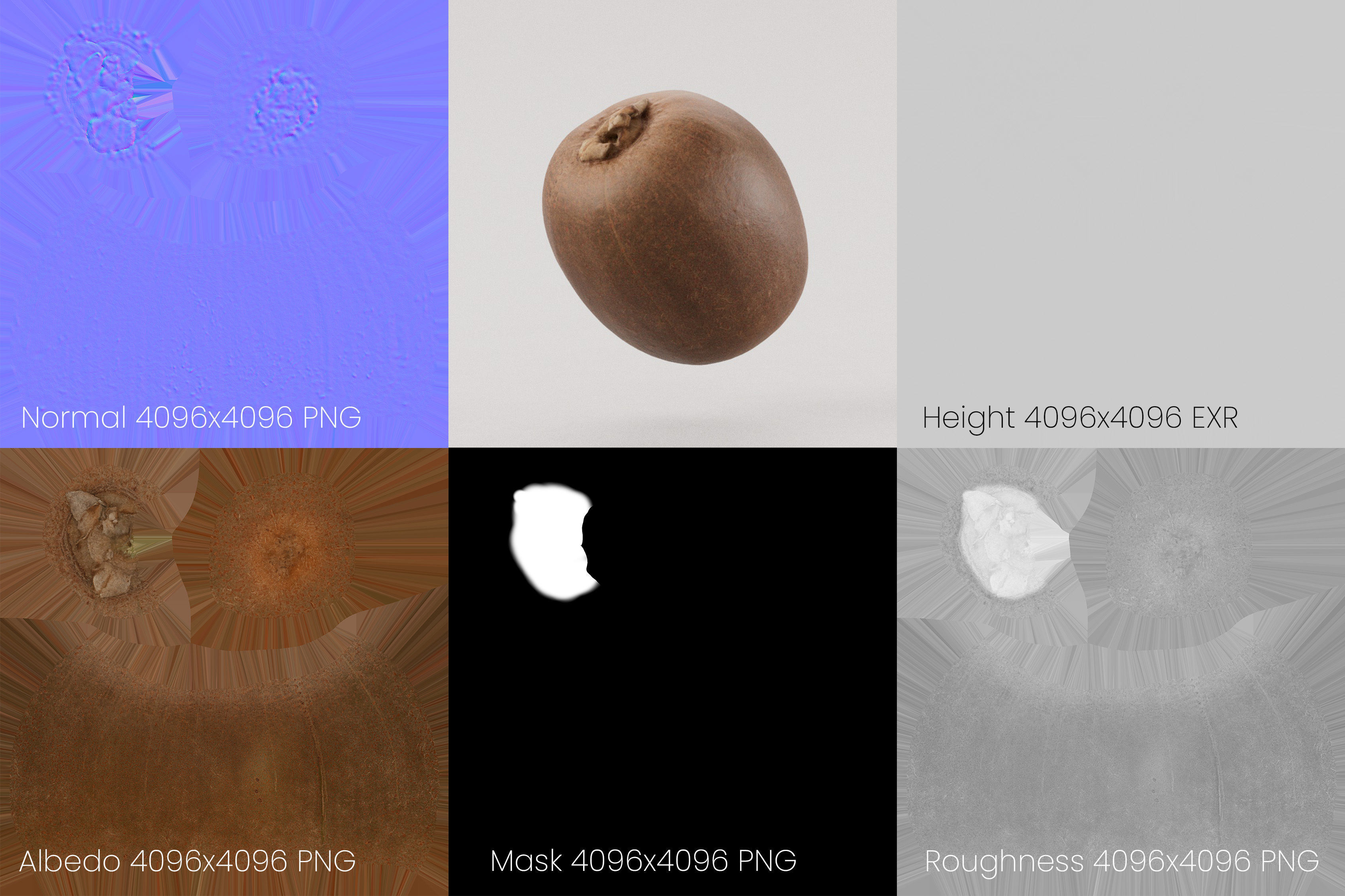 Kiwi Photoscan Low-poly 3D model_8