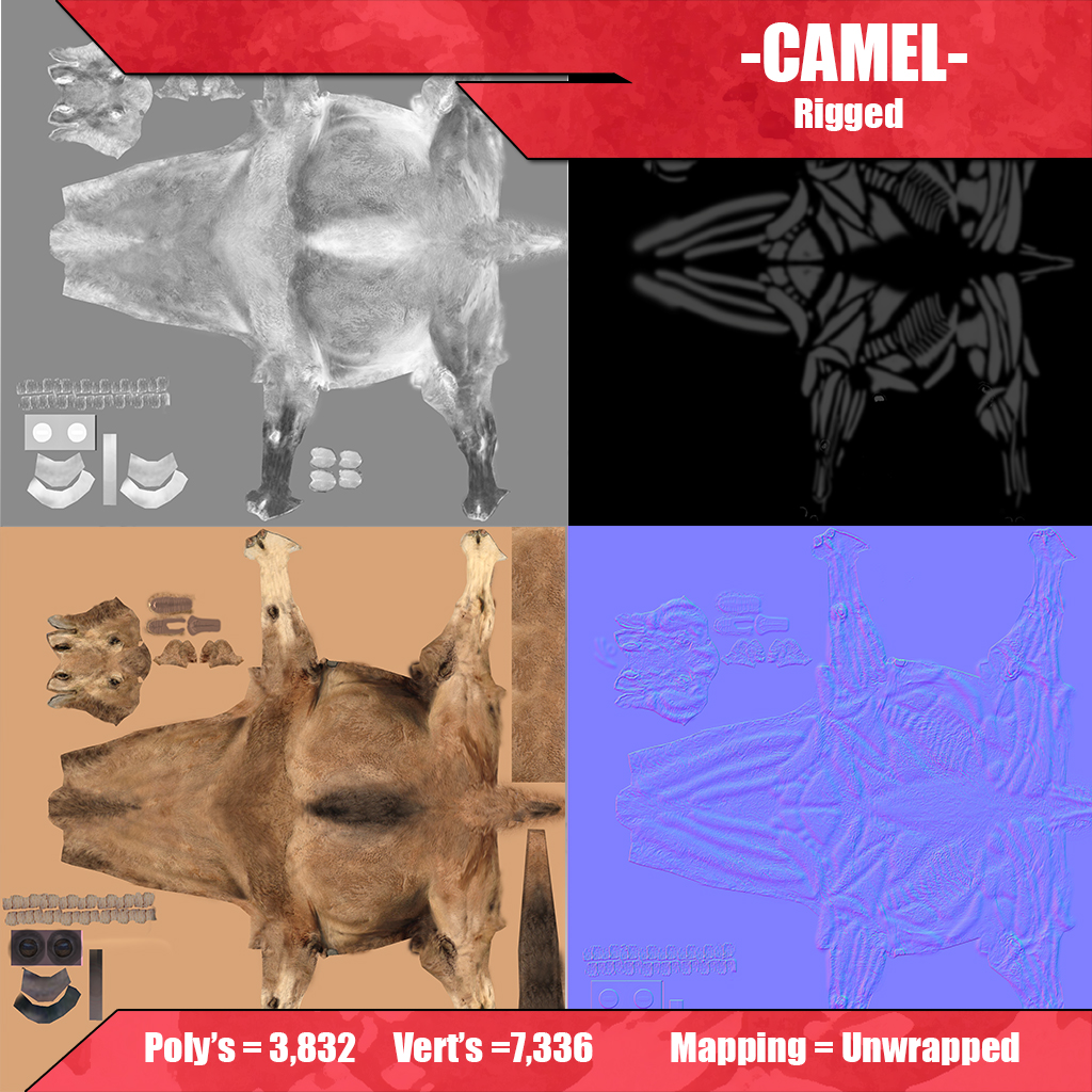 Camel 3D model_6