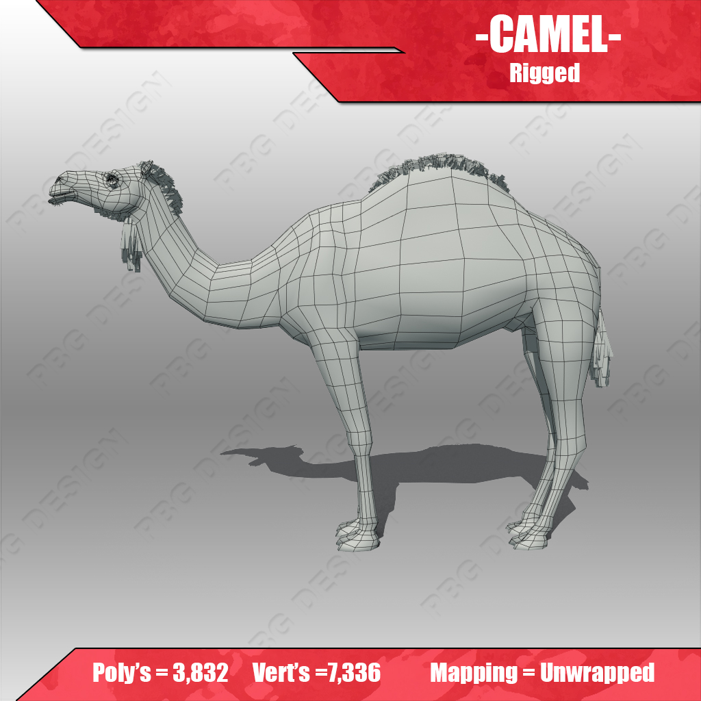 Camel 3D model_9