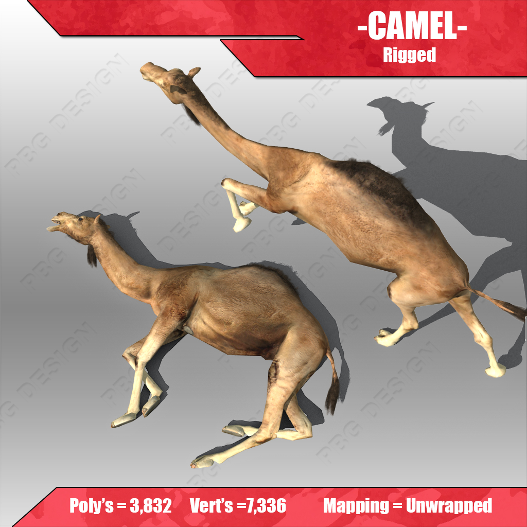 Camel 3D model_3