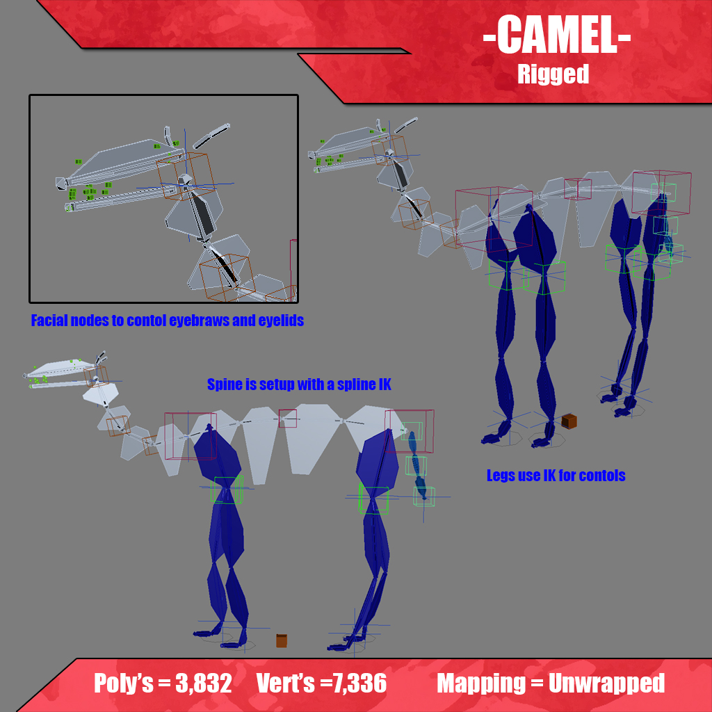 Camel 3D model_7