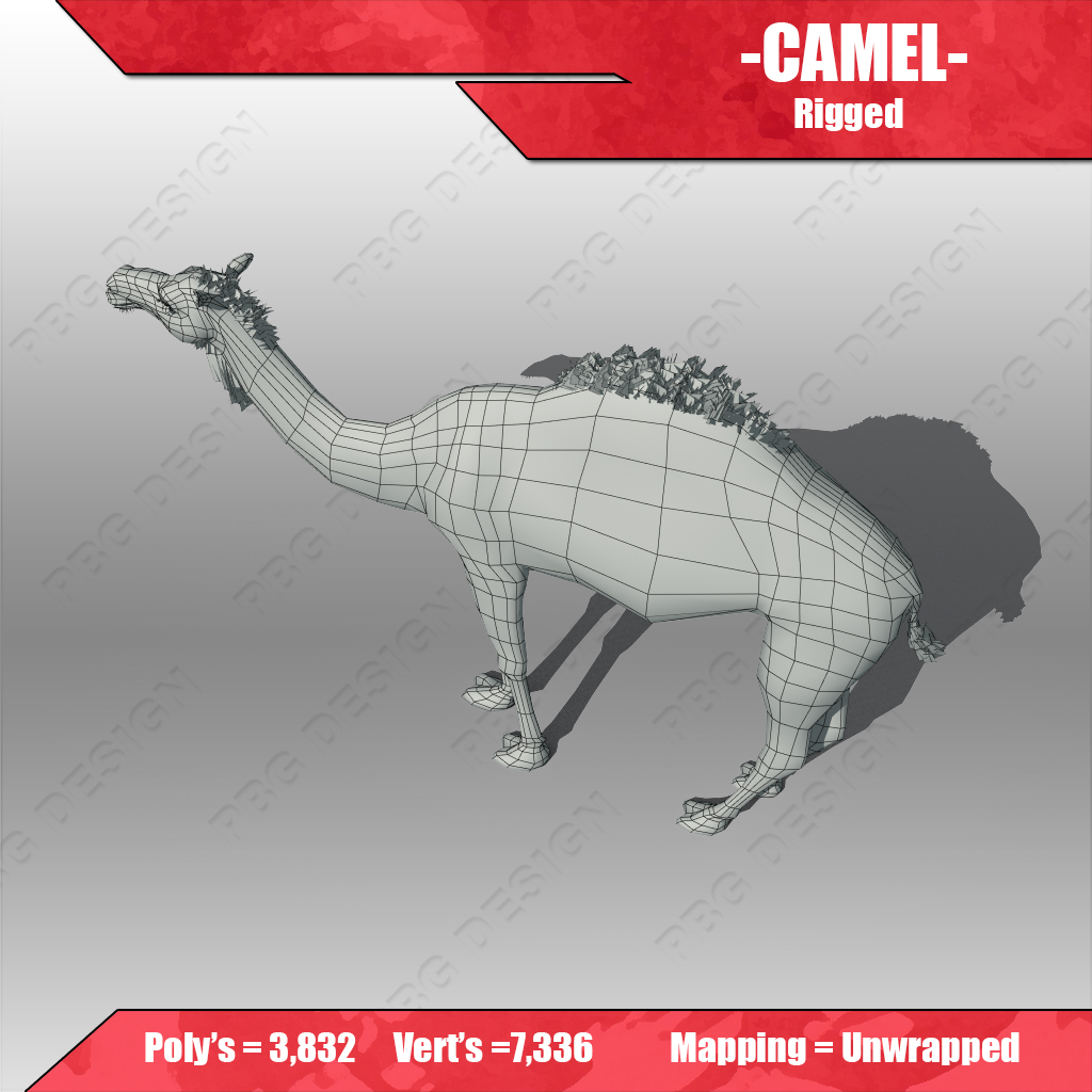 Camel 3D model_5