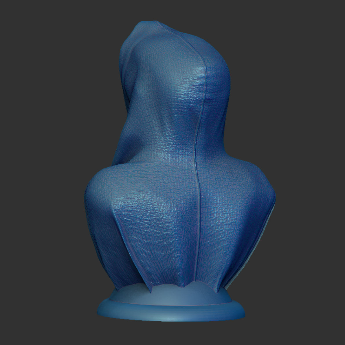 Cape-Skull Bust II in 2 Variants 3D print model_8