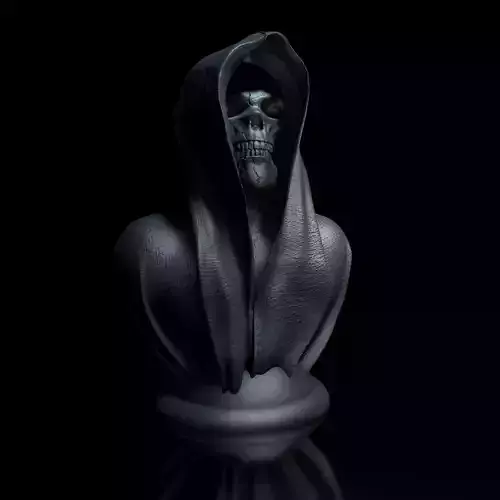 Cape-Skull Bust II in 2 Variants 3D print model