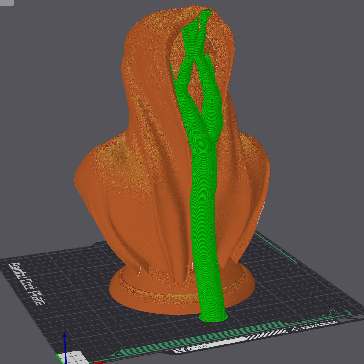 Cape-Skull Bust II in 2 Variants 3D print model_6