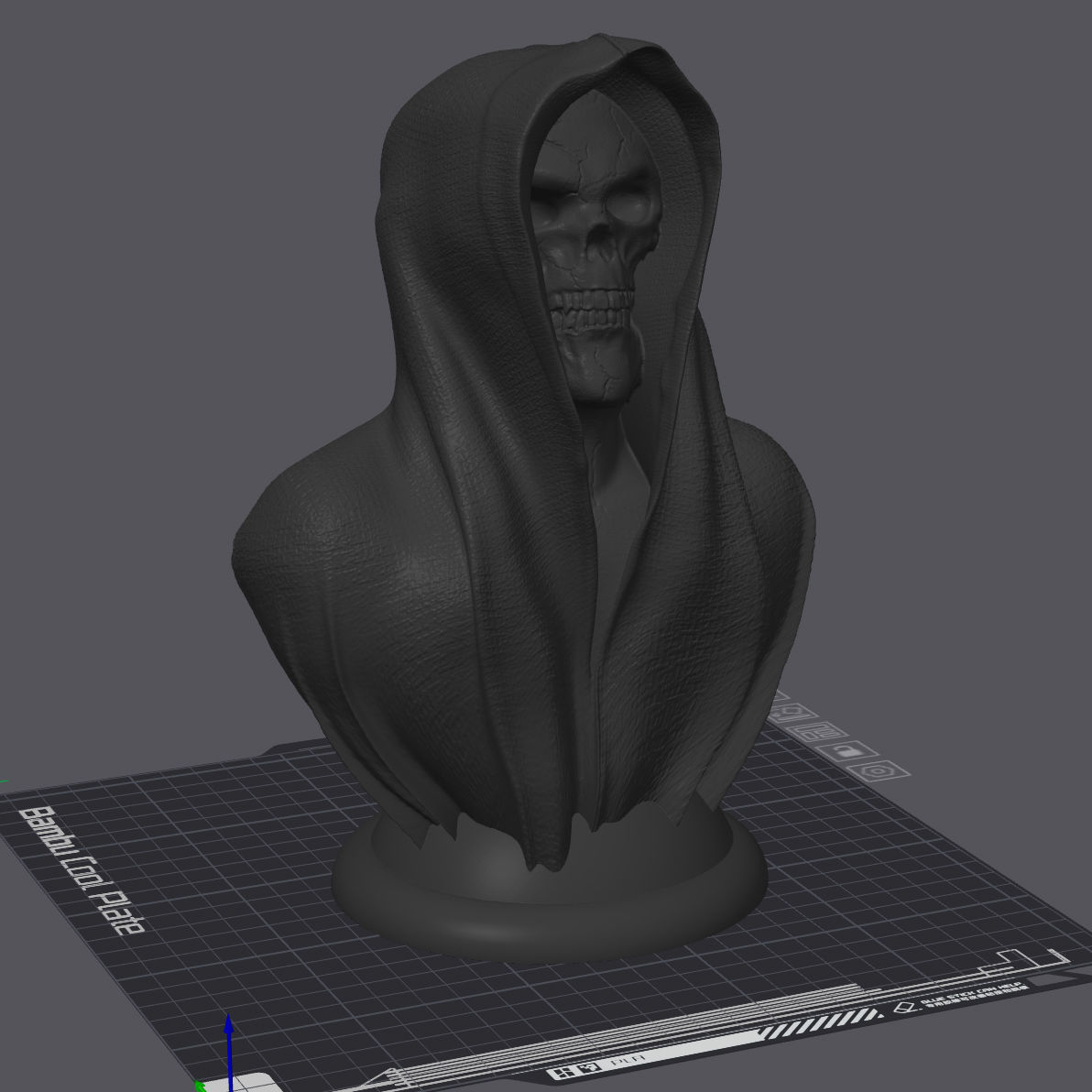 Cape-Skull Bust II in 2 Variants 3D print model_9