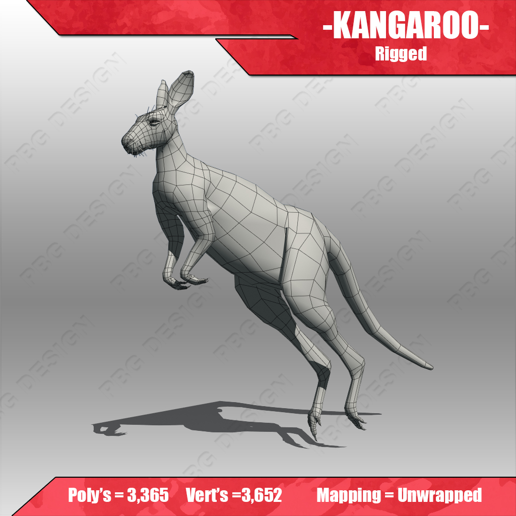 Kangaroo 3D model_6