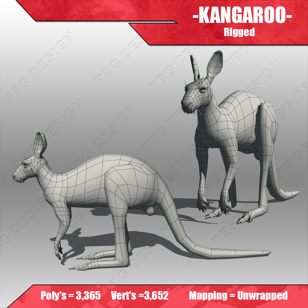 Kangaroo 3D model_5