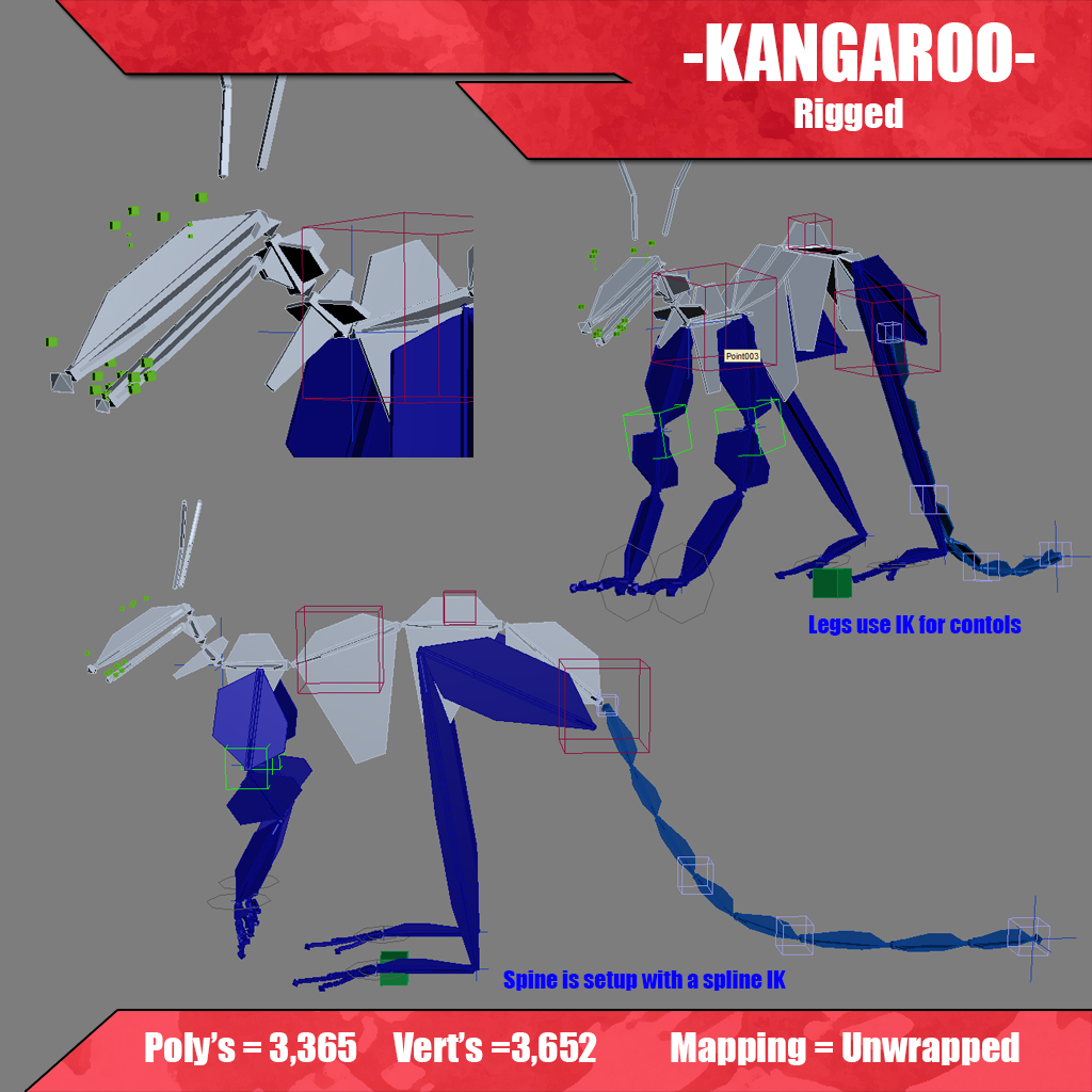 Kangaroo 3D model_4