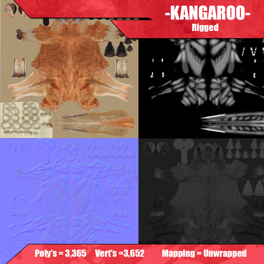 Kangaroo 3D model_7