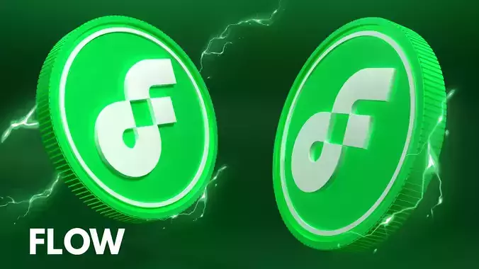 Flow Coin 3D Model 3D model