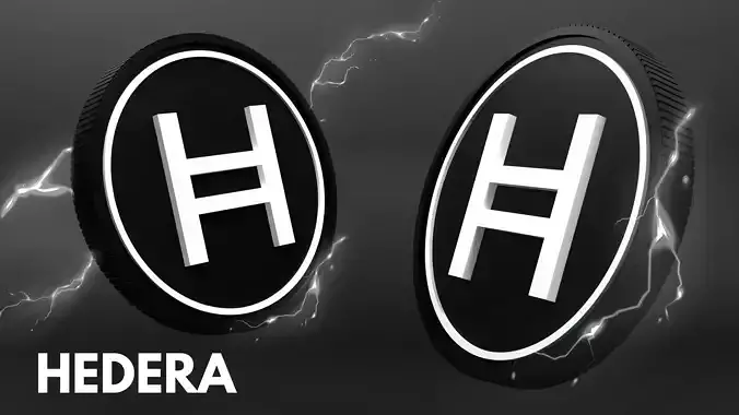 Hedera Coin 3D Model  3D model