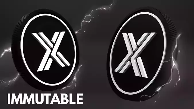 Immutable Coin 3D Model 3D model