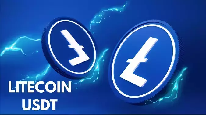 Litecoin 3D Model 3D model