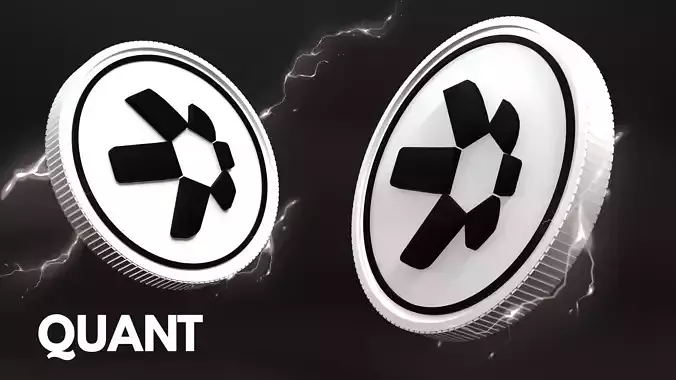 Quant Coin 3D Model