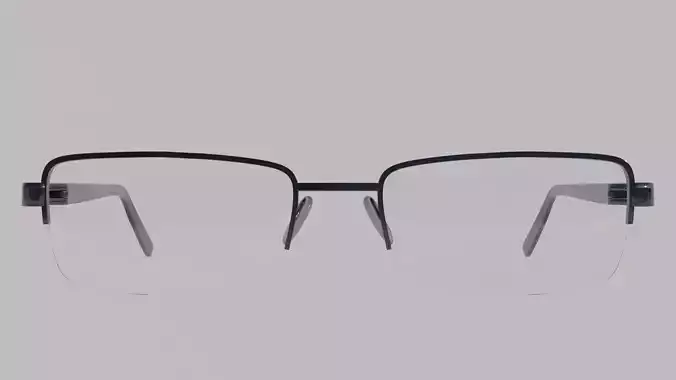 Normal eyeglass 3d model 3D model