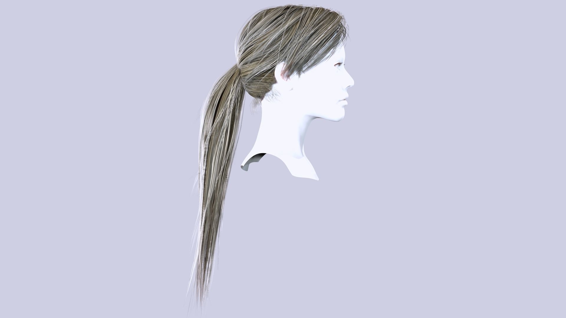 Examiner Ponytail Hair Low-Poly Low-poly 3D model_5