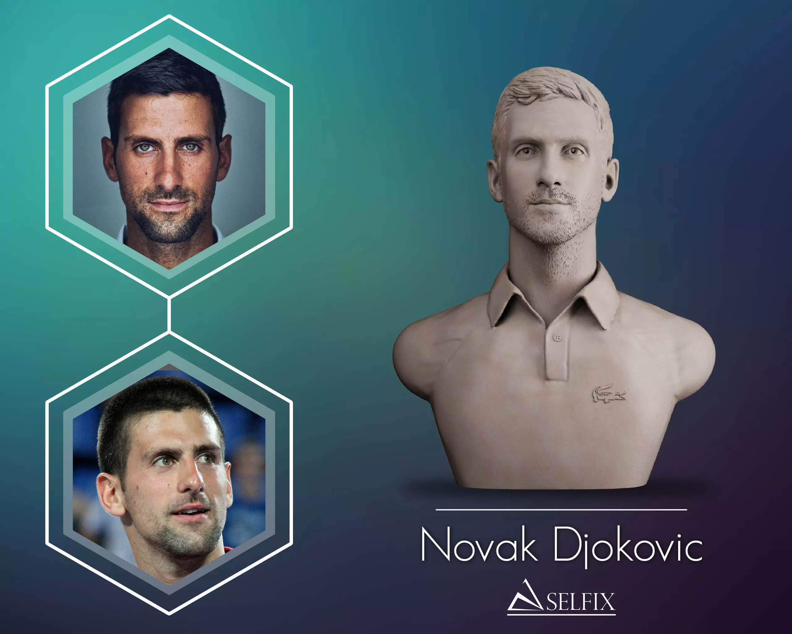 Novak Djokovic 3D print model_0