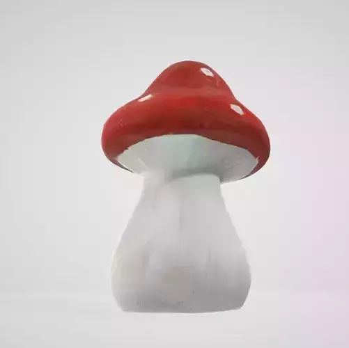 Amanita red mushroom muscaria white dots and spots