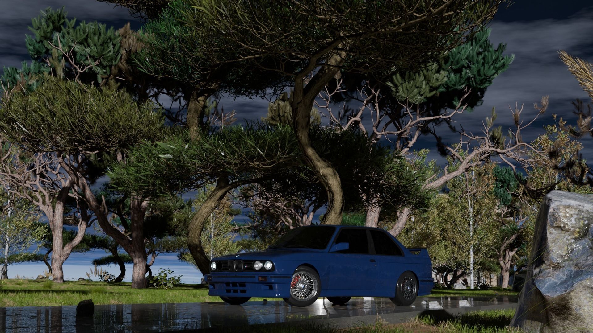 Car in the forest during the rain 3D model_8