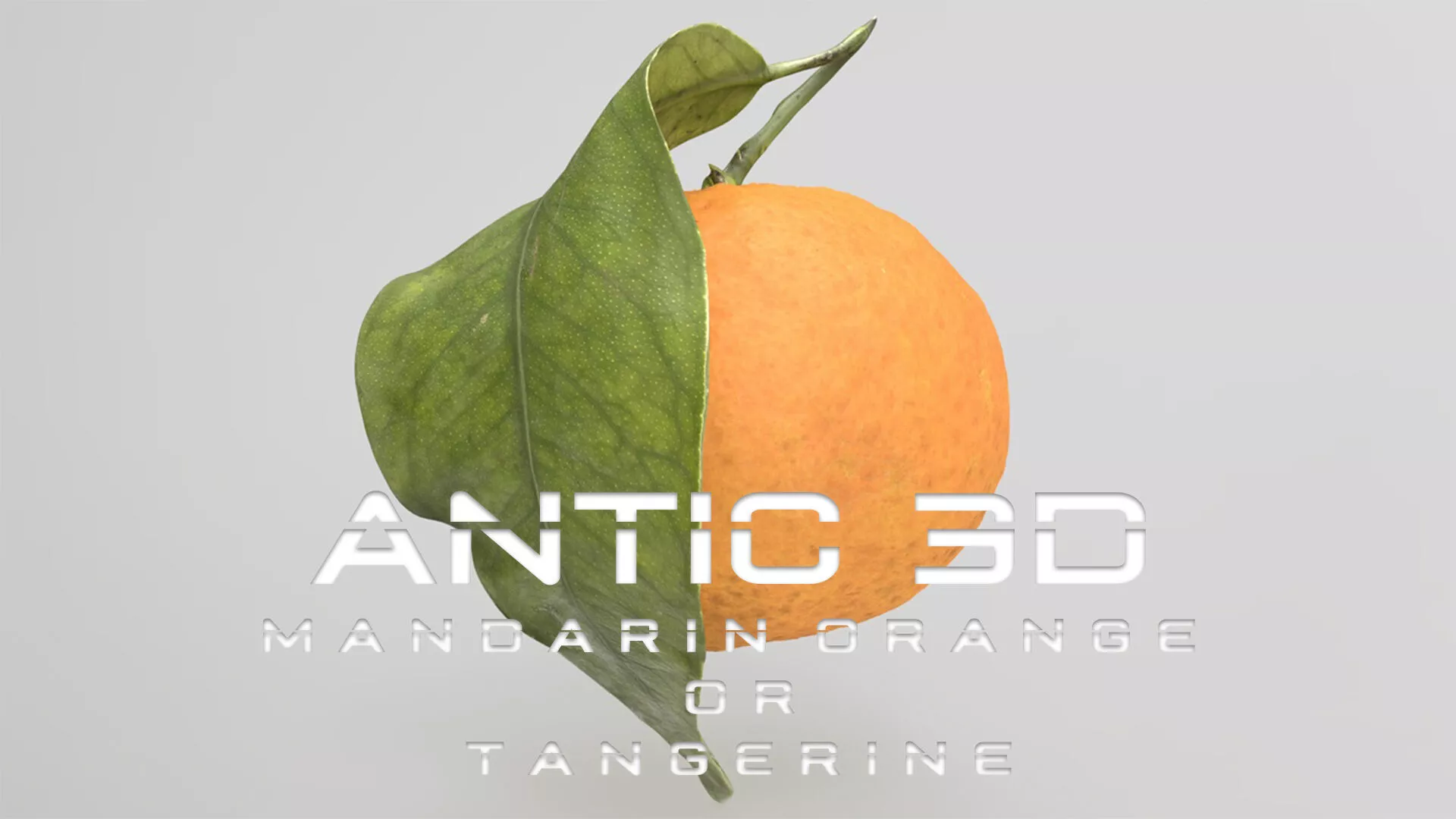 Mandarin Orange or Tangerine Low-poly 3D model