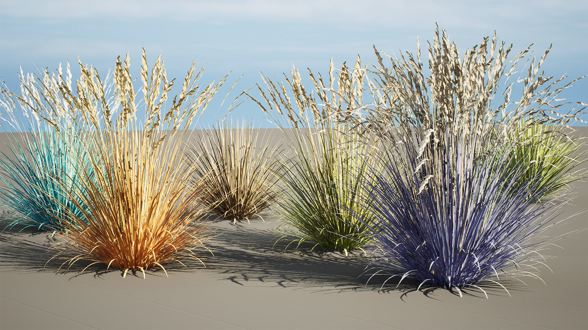 All-Season Blue Fescue 3d model Low-poly 3D model_2