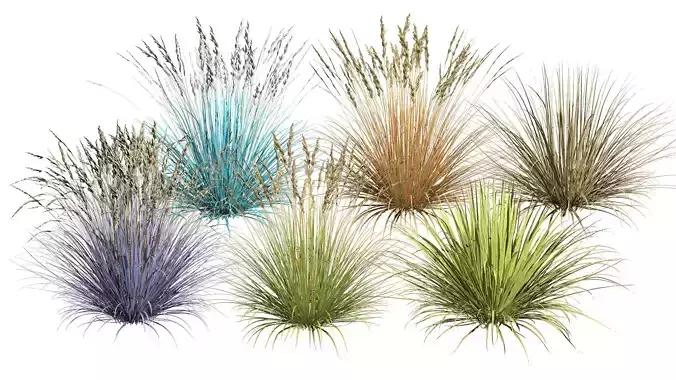 All-Season Blue Fescue 3d model Low-poly 3D model