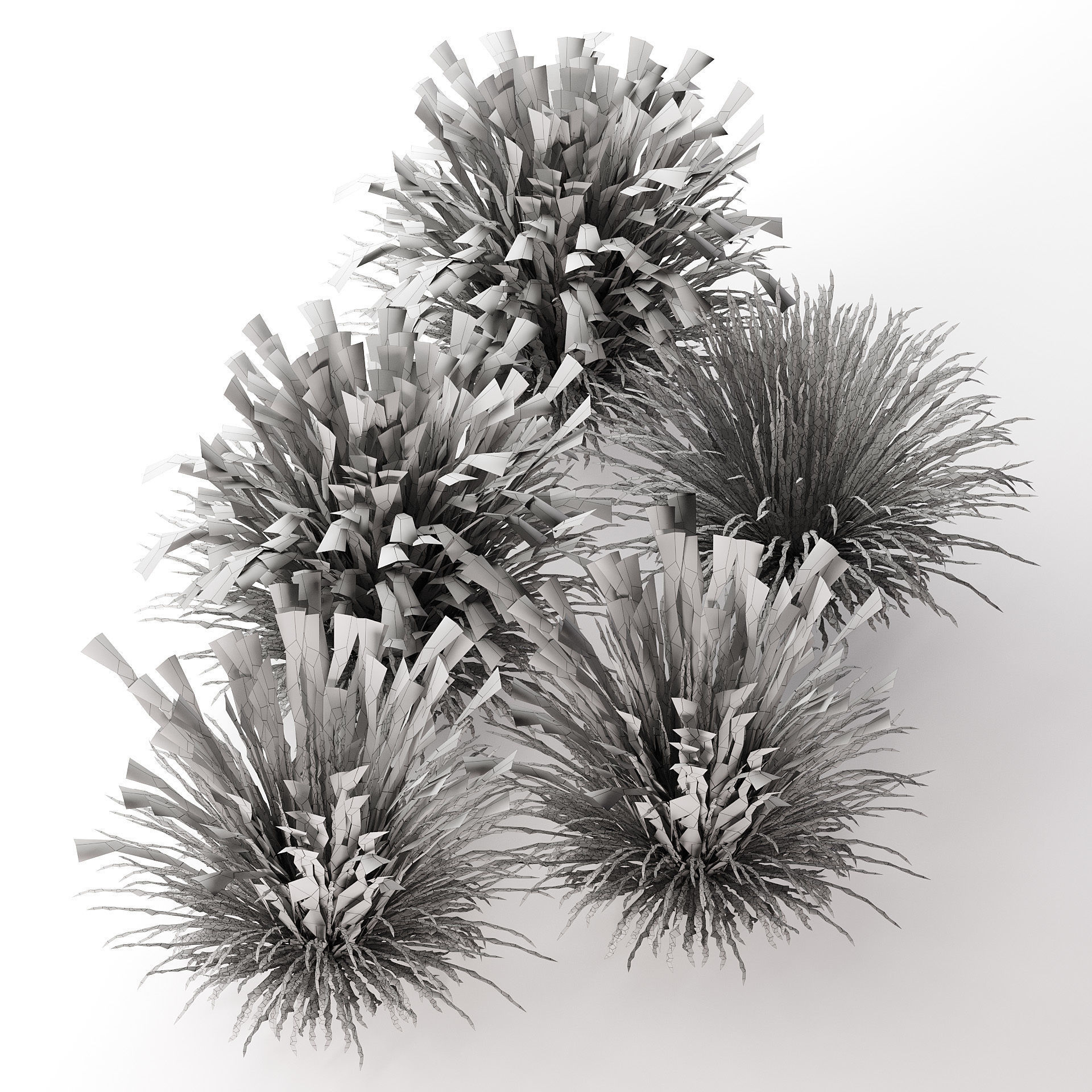 All-Season Blue Fescue 3d model Low-poly 3D model_17