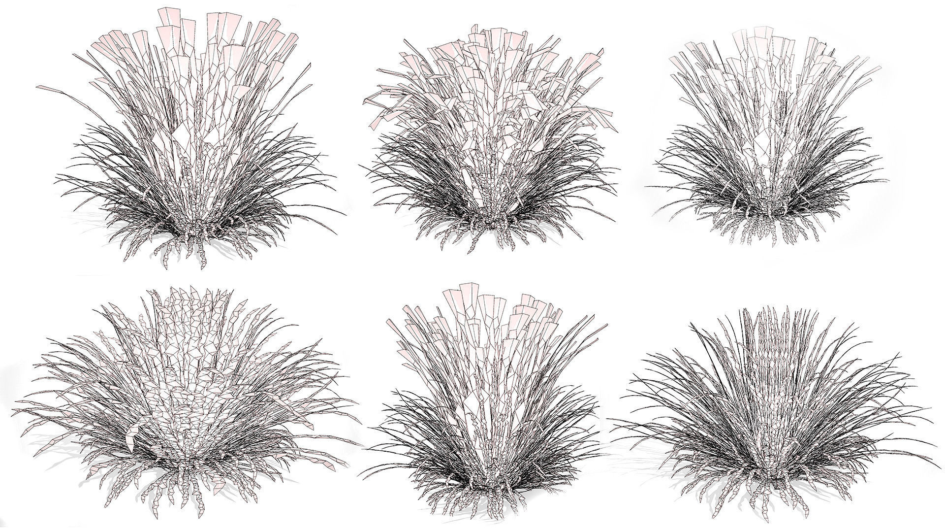 All-Season Blue Fescue 3d model Low-poly 3D model_10