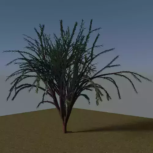 Tree 2301 3D model
