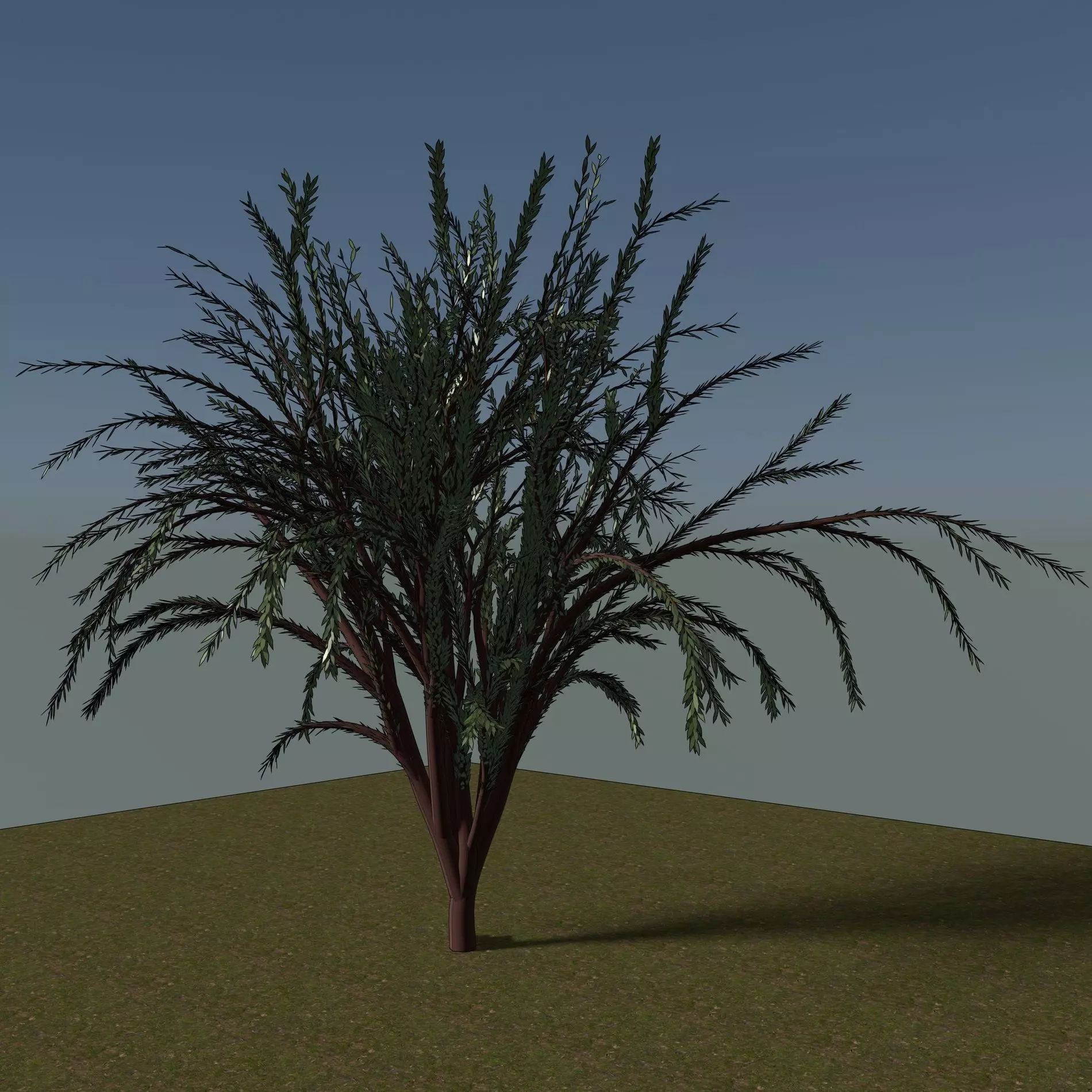 Tree 2301 3D model