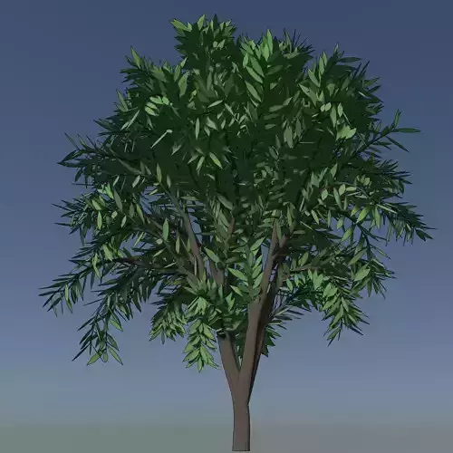 Simple tree 24L04 3D model