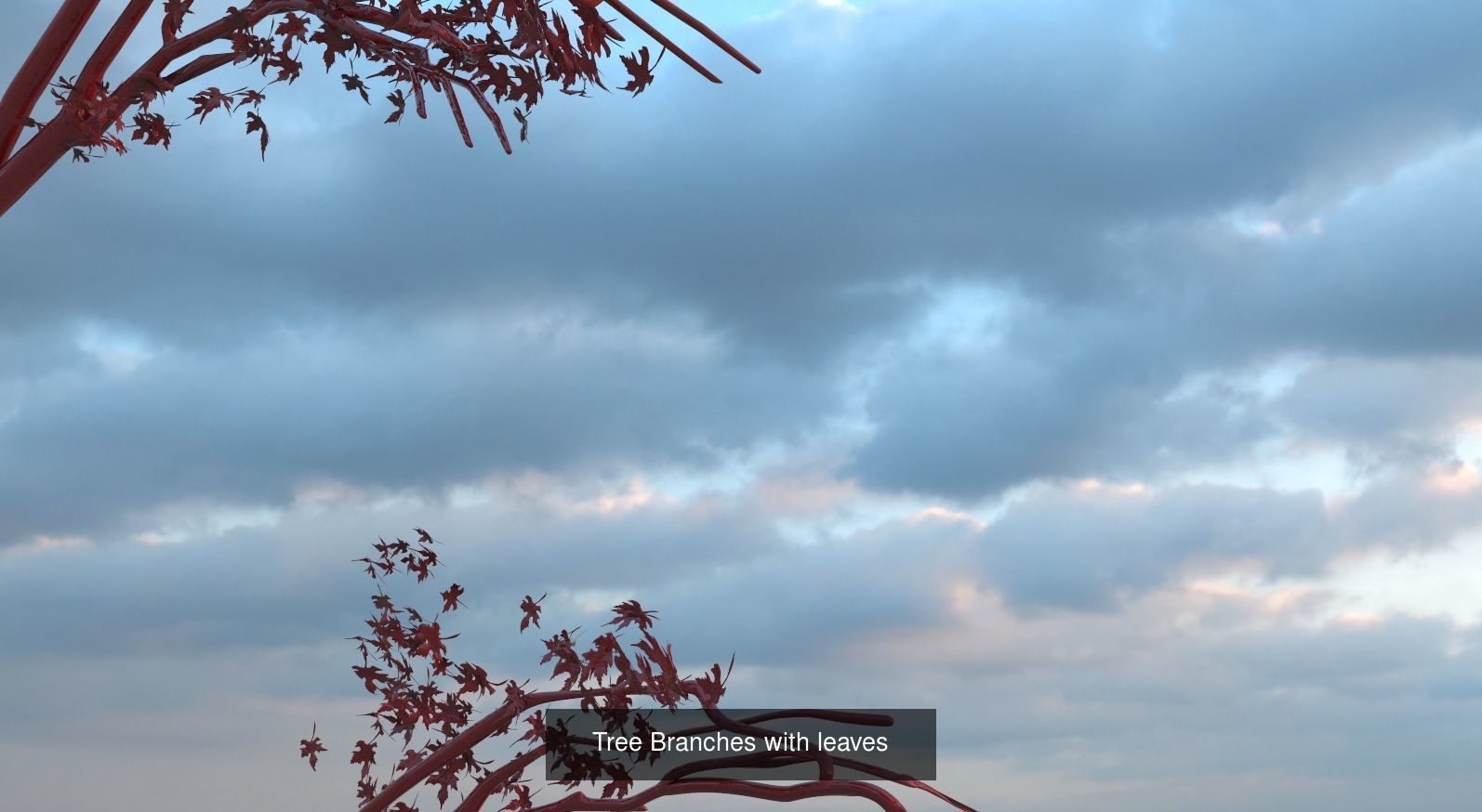 Tree branch collection _8