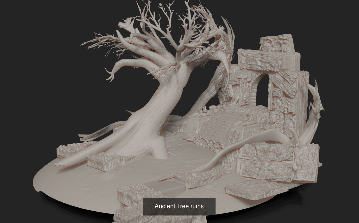 Tree branch collection _3