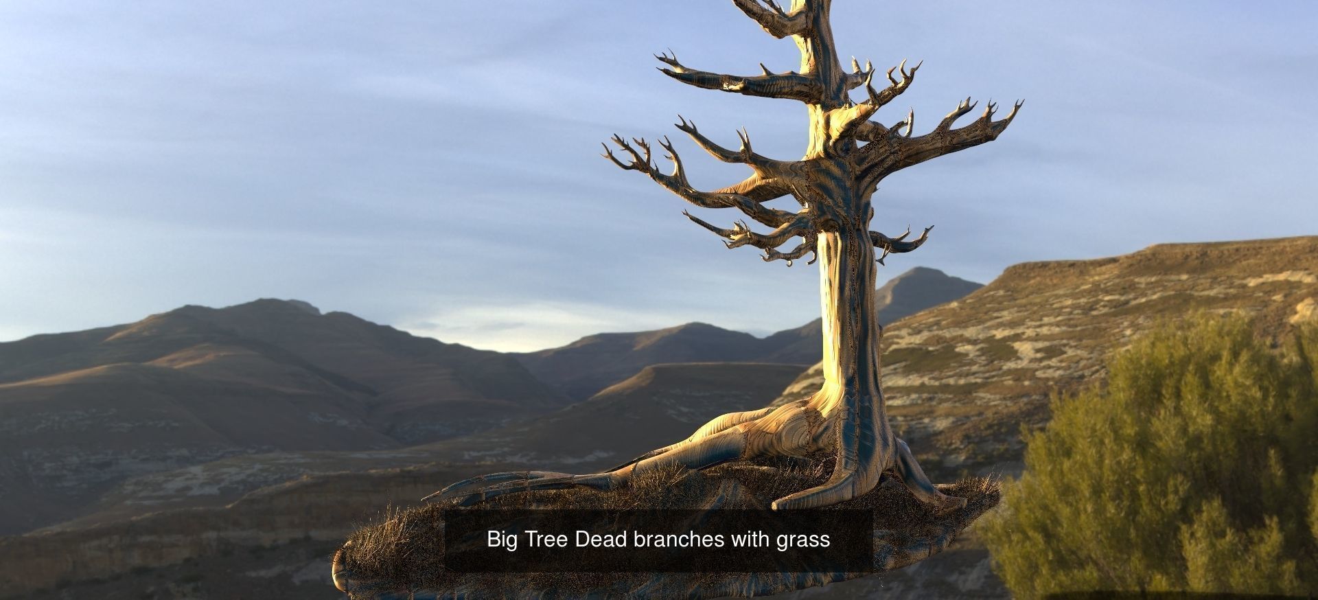 Tree branch collection _7