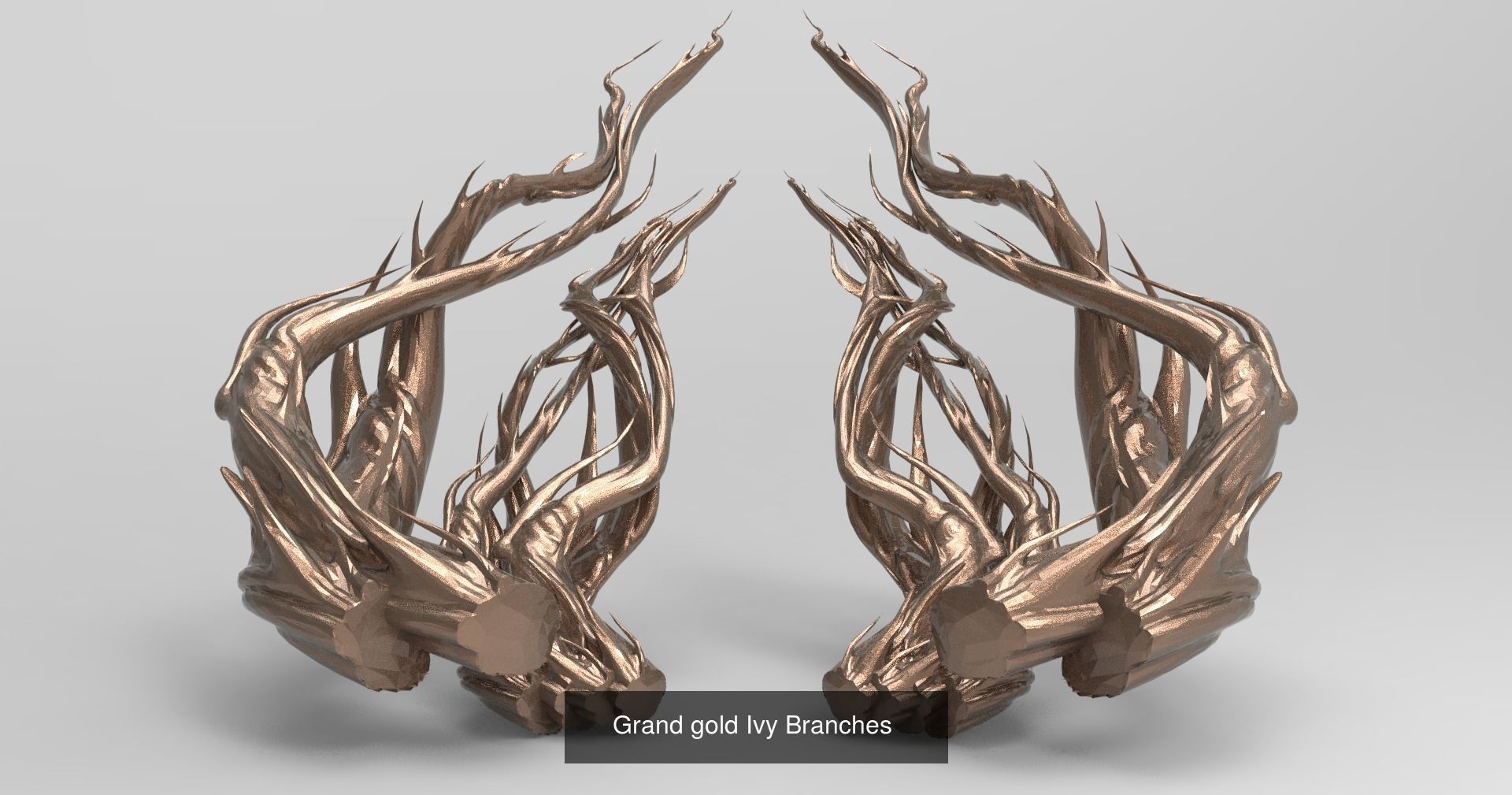 Tree branch collection _22