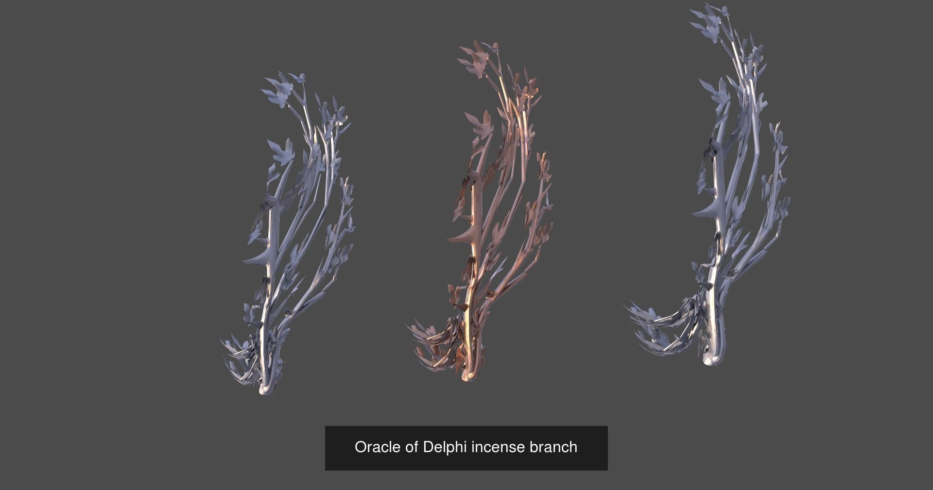 Tree branch collection _23